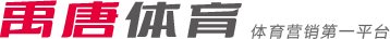 战术执行力