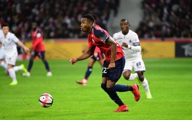 马上绑码抢 马上绑码抢